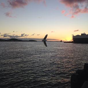 Come to the protest rally today at 3.30 on Queens Wharf opposing the Bledisloe Wharf extensions Come to the protest rally today at 3.30 on Queens Wharf opposing the Bledisloe Wharf extensions