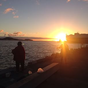 Come to the protest rally today at 3.30 on Queens Wharf opposing the Bledisloe Wharf extensions Come to the protest rally today at 3.30 on Queens Wharf opposing the Bledisloe Wharf extensions